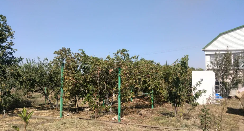 Продам 2-х этажную дом-дачу на Тилигульском лимане (с.Кордон, Лиманский р-н) Кордон - фото 8