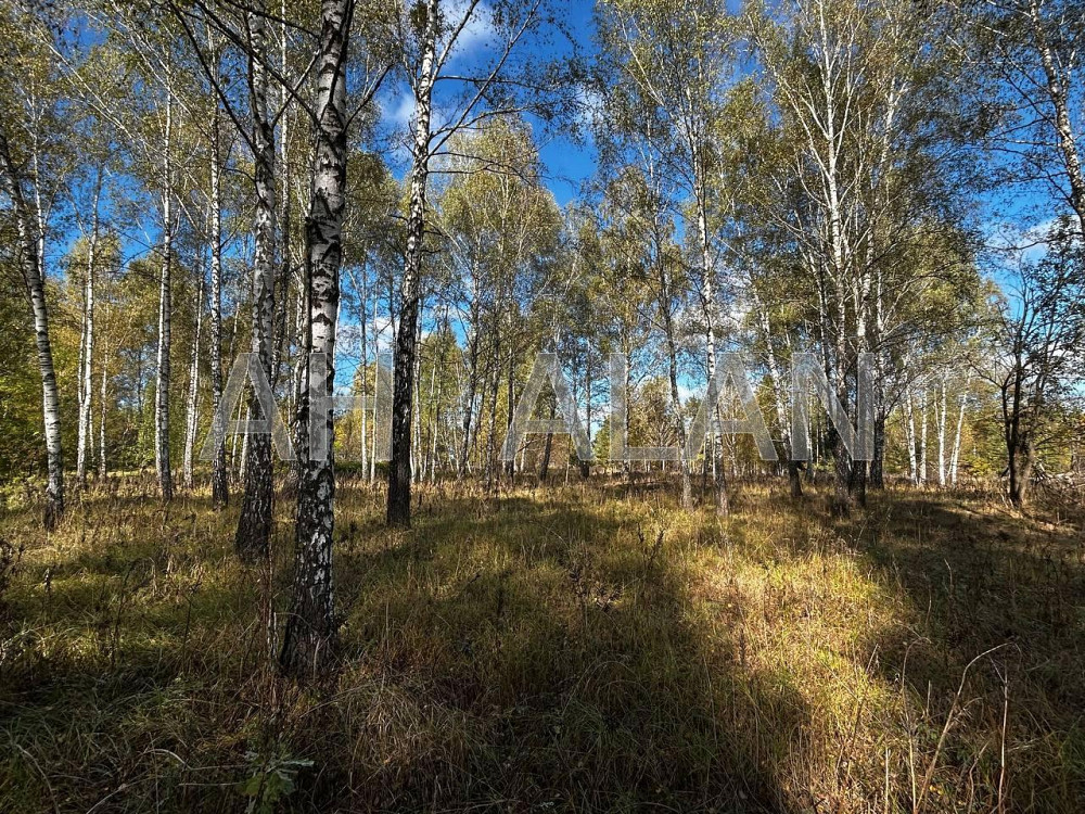 Продаж земельної ділянки 12 га на вул. Сонячна Завалівка - фото 8