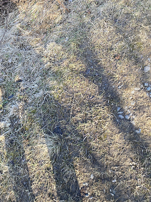 Продаж земельної ділянки 10 соток на Польова Березина - изображение 5