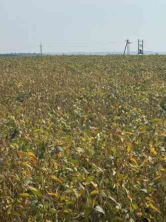 Продаж земельної ділянки 44 соток Кротошин