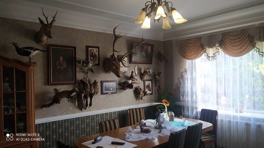 Продам в с.Нерубайское  очень хороший дом. Нерубайське - фото 11