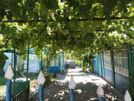 Продам дом в Фонтанке на морской стороне Фонтанка