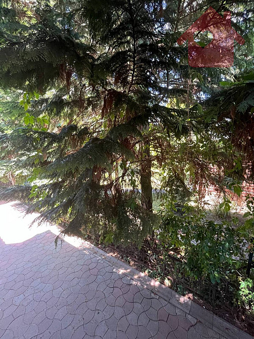 Продаж Будинок  - фото 15