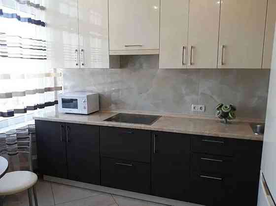 Оренда Квартира 1-кімнатна, 3/20 поверх на вул. Лариси Руденко Київ