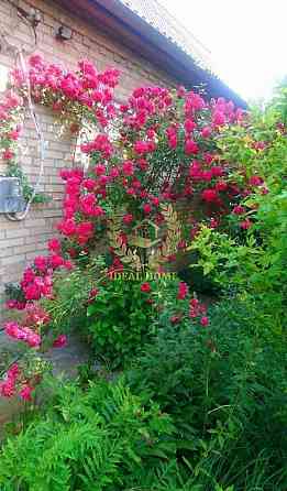 Продаж Будинок 3-кімнатний Velyka Motovylivka