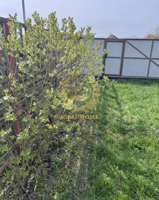 Продаж Будинок 4-кімнатний на Киевская ул. Krasylivka (Brovarskyi raion) - photo 9