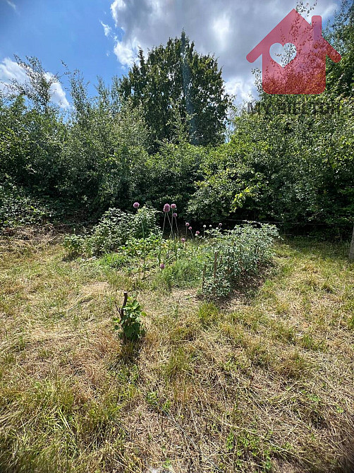 Продаж земельної ділянки 12 соток на Словацький кордон Uzhhorod - photo 5