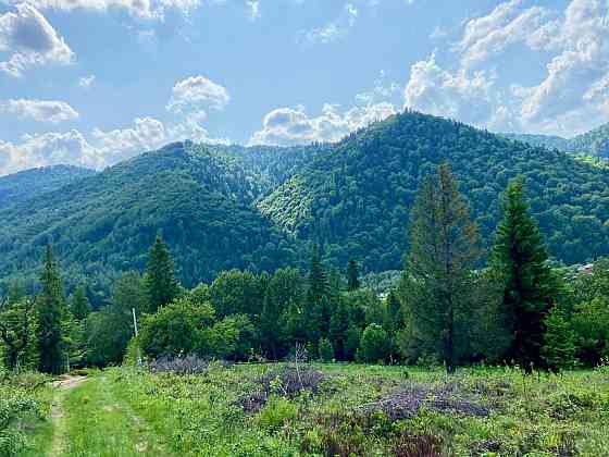Продаж земельної ділянки 59 соток Гребенов
