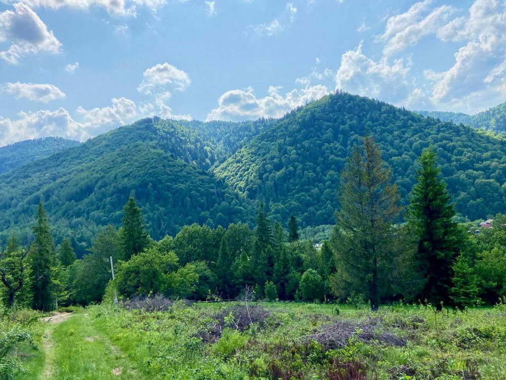 Продаж земельної ділянки 59 соток Hrebeniv - photo 6