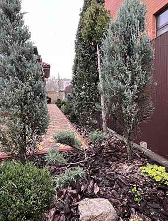 Продається приватний будинок Одеса