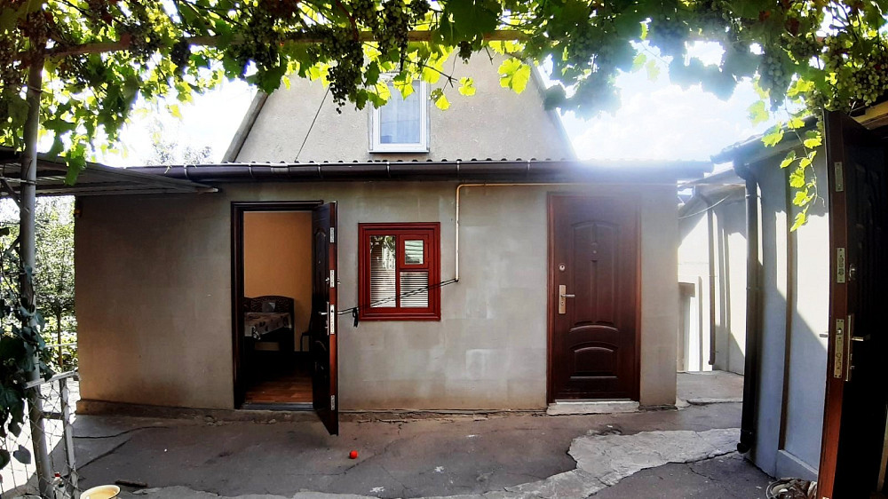 Капитальный дом у моря в курортной Крыжановке Крижанівка (Комінтернівський район) - фото 16