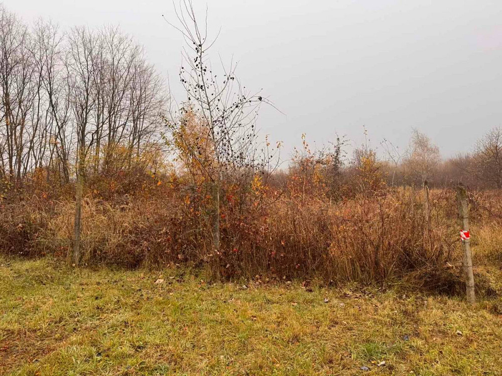 Продаж земельної ділянки 6 соток Uzhhorod - photo 1