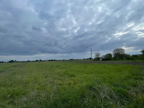 Продаж земельної ділянки Для будівництва приватного житлового будинку площа 46 сот вул. Миру у с. Борохів. Луцьк - фото 1