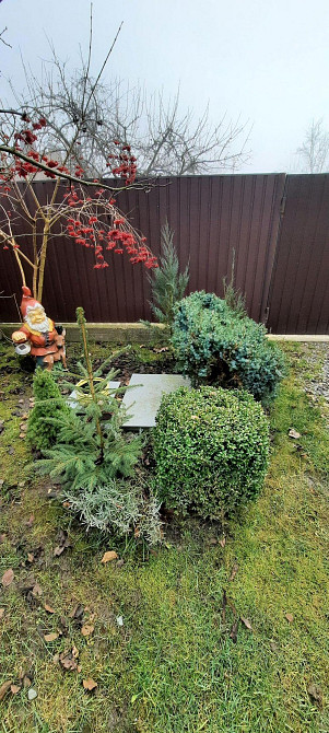 Продаж Будинок 4-кімнатний Solonka - photo 12