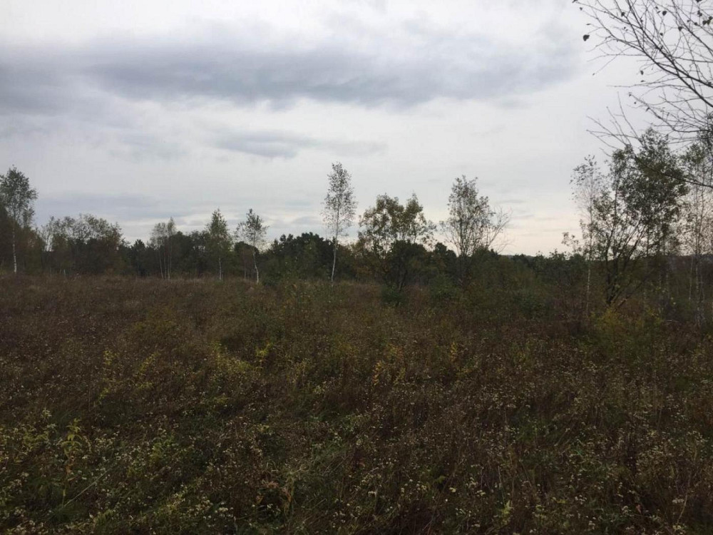 Продаж земельної ділянки 75 соток на вул. Шевченка Верхнє Синьовидне - фото 9