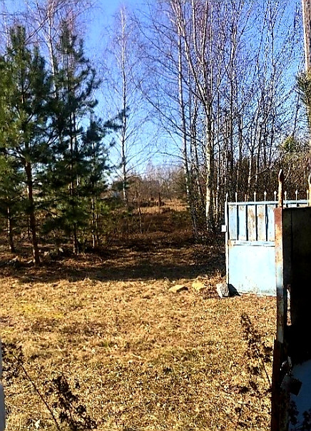 Продаж 1-поверховий Дача з ділянкою 12 сот 44 кв.м 1 кімн. на Тетеревський масив Житомир - изображение 1