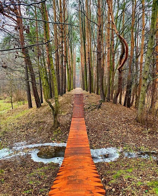 Продаж земельної ділянки 9 соток на В Липинського Житомир - фото 3