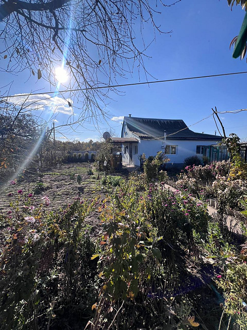 Продаж 2-поверховий Дача з ділянкою 5 сот 50 кв.м 2 кімн. на Дубовець Житомир - изображение 4