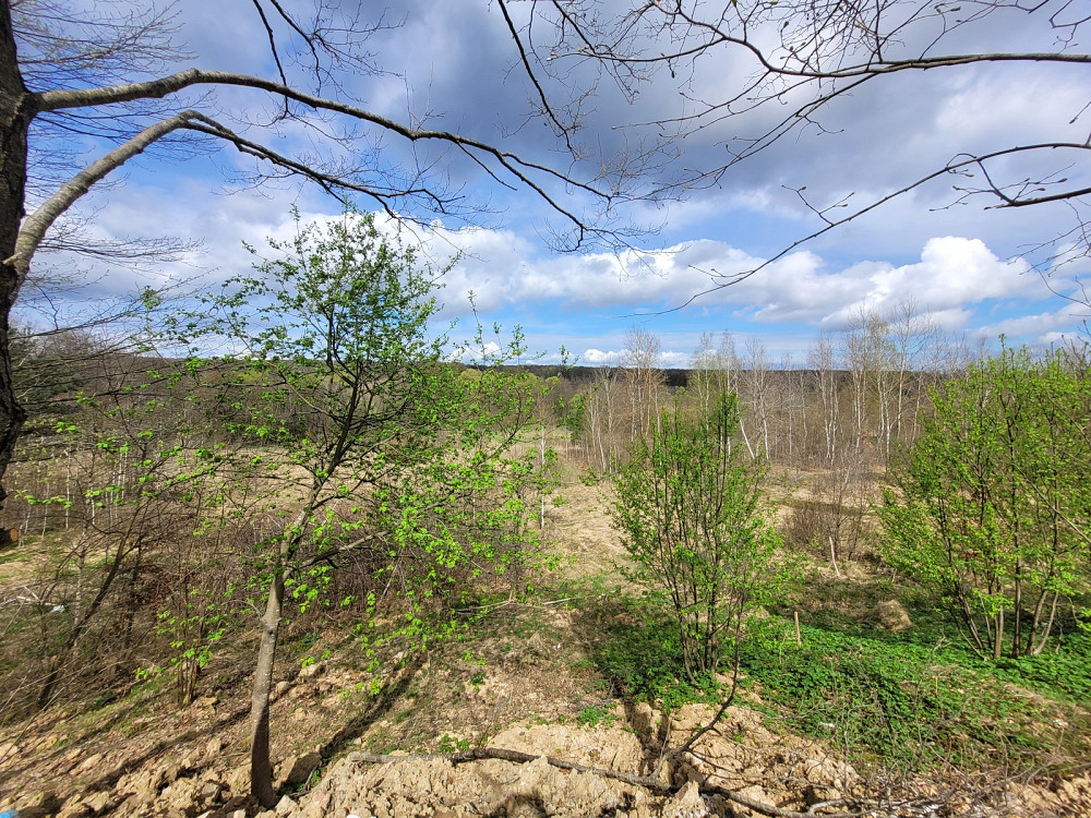 Продаж земельної ділянки 1.25 га на Франка Pavlivka - photo 9