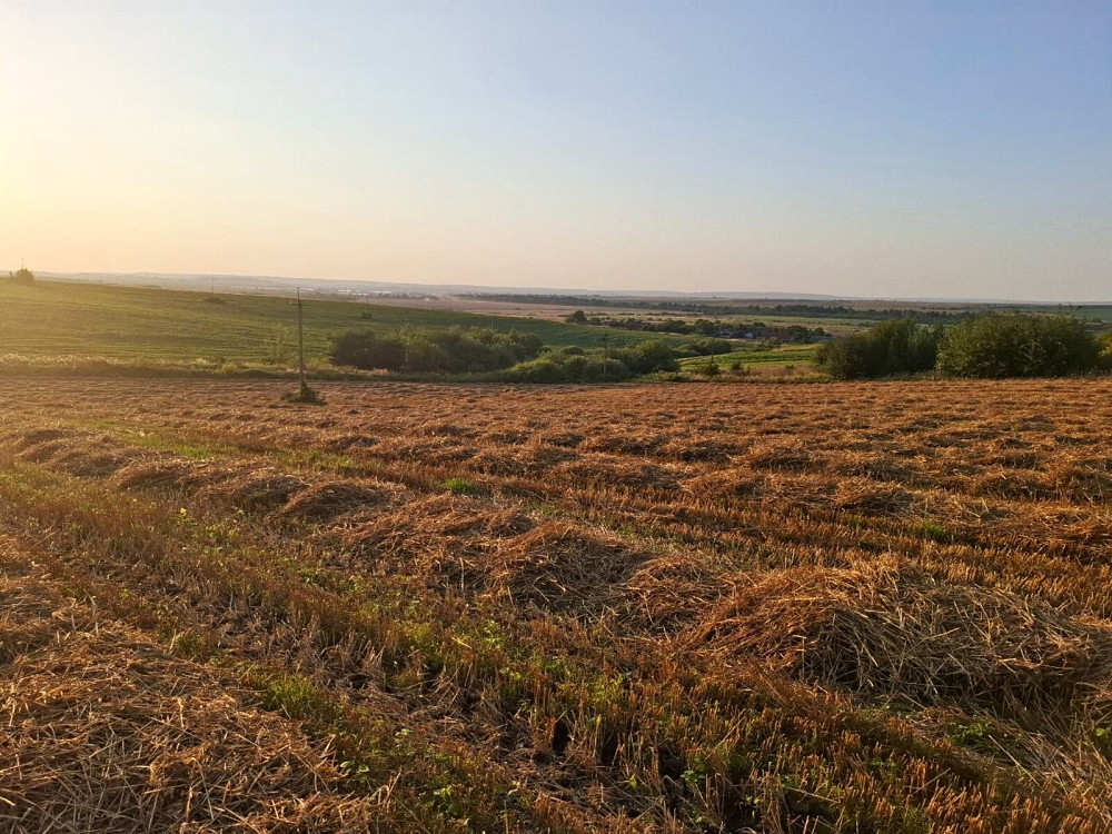 Продаж земельної ділянки 1 га Sadky - photo 3