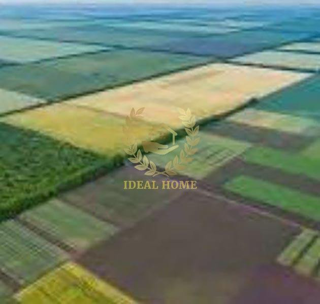 Продаж земельної ділянки 50 соток на Дружбы ул., 1 Lypivka - photo 12