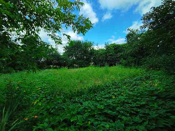 Продаж 2-поверховий Будинок з ділянкою 10 сот 300 кв.м 4 кімн. на Слобода-Селець Zhytomyr