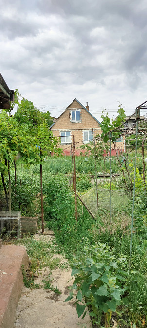 Продается дача на берегу Хаджибейского лимана Бурдівка - фото 17
