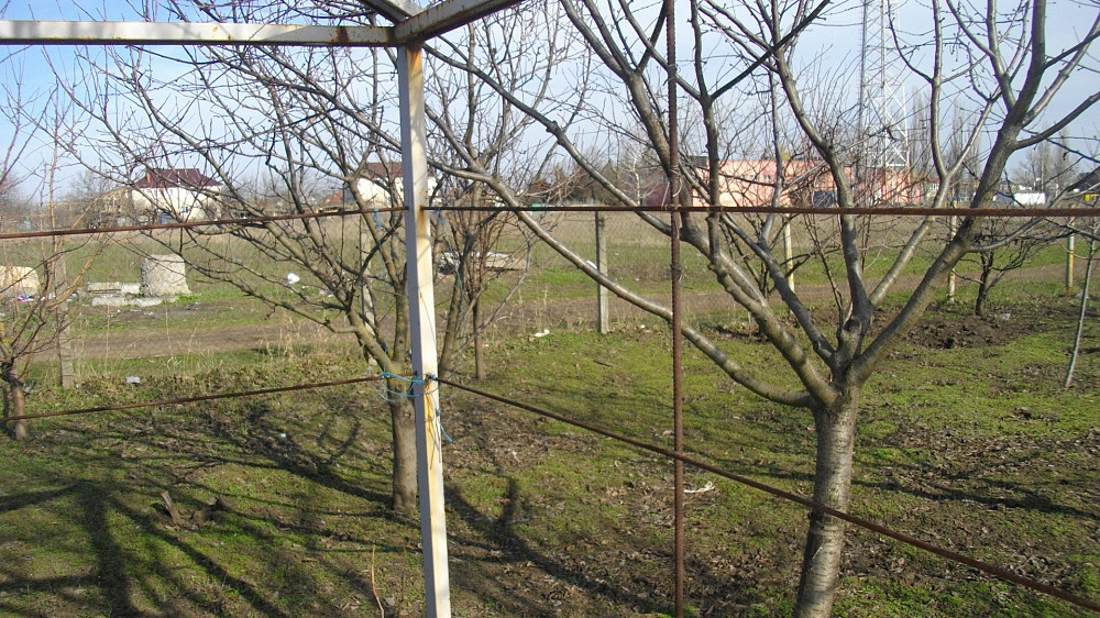 Продаж земельної ділянки 0.1 соток на ул. Ясная, 19 Усатове - фото 1