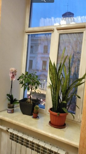 Красивая квартира на Европейской площади. Одеса - фото 7