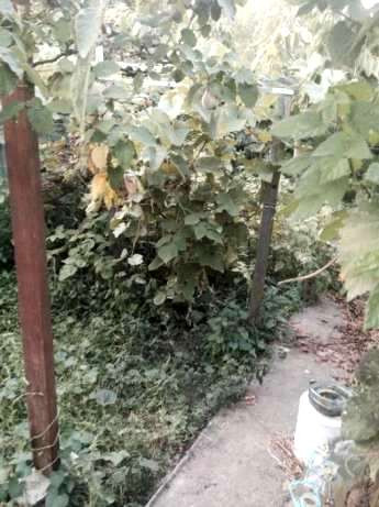 Дом на 4,5 сотках земли, Фонтанская дорога /Ванный переулок Одеса - фото 7