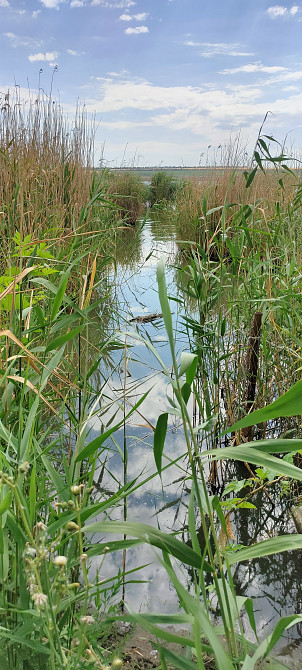 Продается дача на берегу Хаджибейского лимана Бурдівка - фото 16