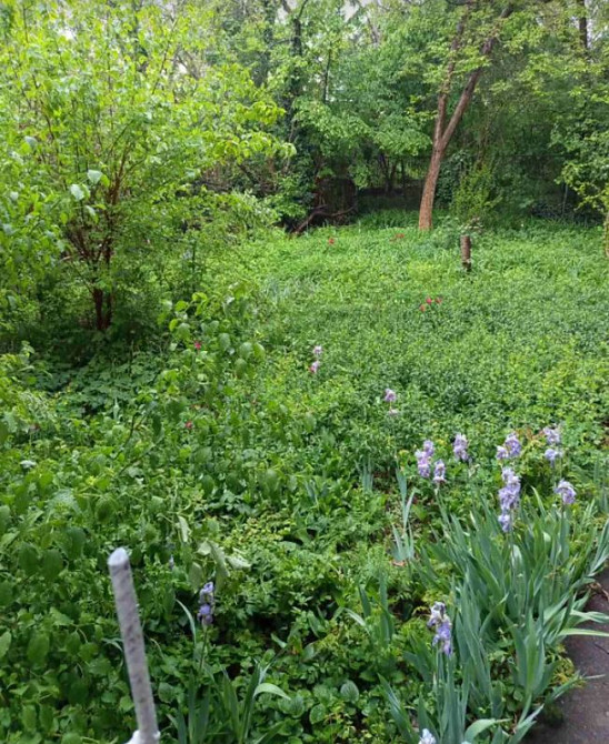 Продам 1-комнатную квартиру, Довженко / проспект Шевченко Odessa - photo 12