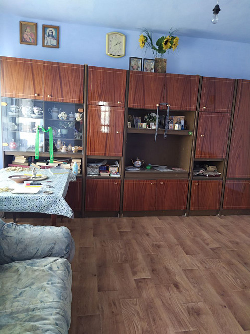 Продам дом с. Новоконстантиновка . Новокостянтинівка - фото 4