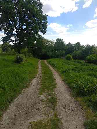 Продаж земельної ділянки 16 соток на Урочище Над Гумнищем 