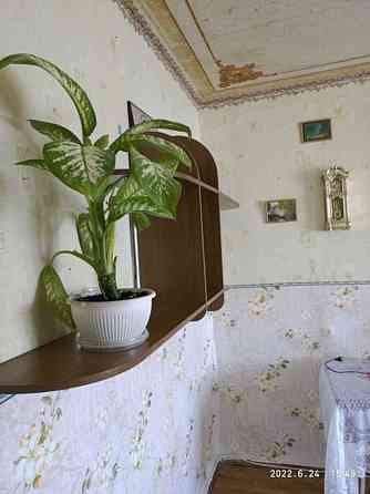 Оренда Квартира 1-кімнатна, 7/9 поверх на Юності Vinnytsya