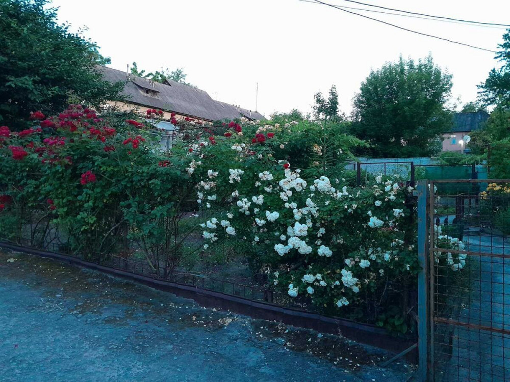 Продаж Квартира 2-кімнатна, 2/2 поверх на Ногинская, 30 Дніпро - фото 13