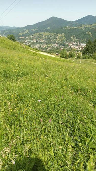 Продаж земельної ділянки 43 соток Верховина - фото 7