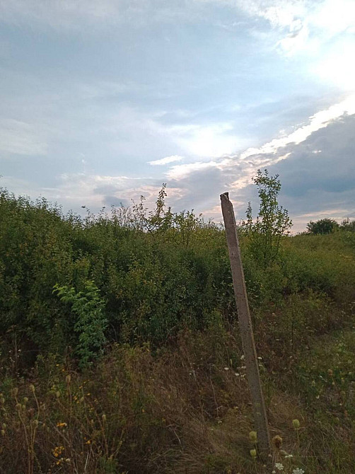 Продаж земельної ділянки 11.33 соток  - photo 5