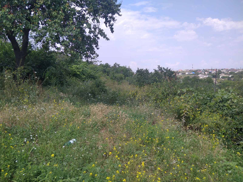 Участок с ветхим строением в с. Нерубайское Nerubaiske - photo 2