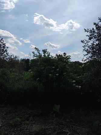 Продаж Будинок 