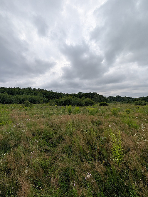 Продаж земельної ділянки 1 га на Урочище Біля Шевадуцької Наталії Viktoriv - photo 11