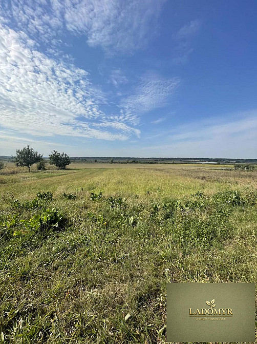 Продаж земельної ділянки 14 соток на вул. Центральна Zdolbuniv - photo 4