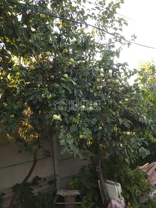 Продаж Будинок 2-кімнатний на вул. Верхня Гиївська Kharkiv - photo 17