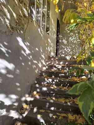 Продаж земельної ділянки 0.1 соток на ул. Абрикосовая, 37 Одеса