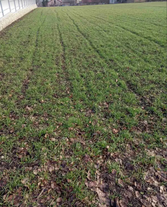 Продаж земельної ділянки 14 соток Ternopil' - photo 2