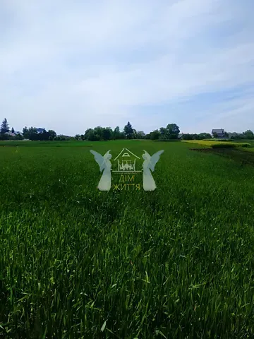 Продажа земельного участка  площадь 29.6 сот Шевченка вулиця  - изображение 6