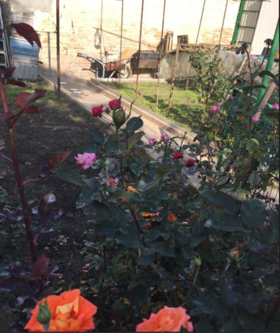 Продам дом на ул. Костанди Одеса - фото 9