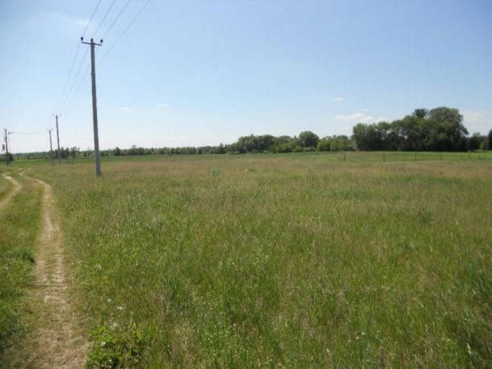 Продаж земельної ділянки 15 соток на Молодежная  - фото 9