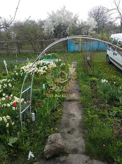 Продам дачу біля Білої Церкви,Чепиліївка  - фото 10