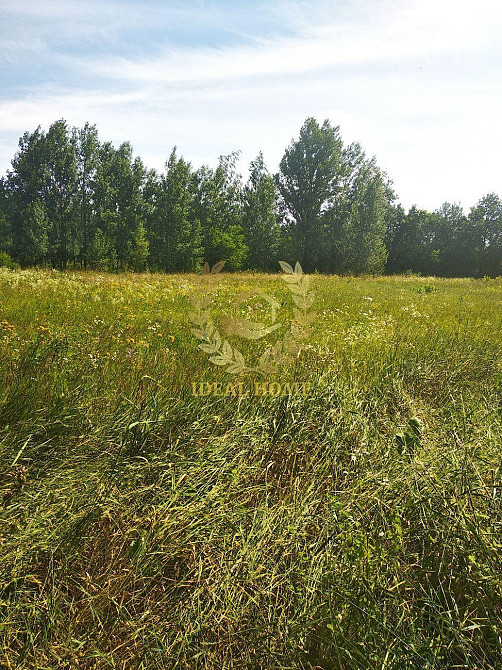 Продаж земельної ділянки 23 соток на Полевая ул., 6 Ustymivka - photo 3